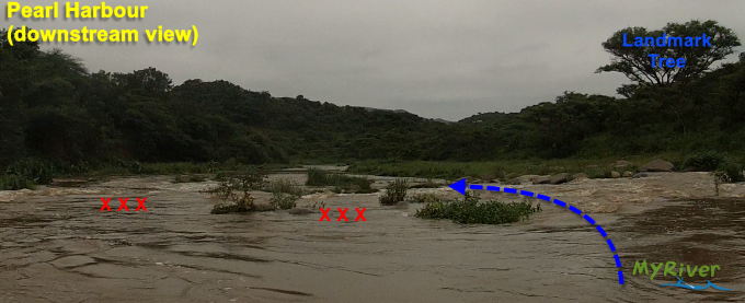 Pearl2016-downstream1