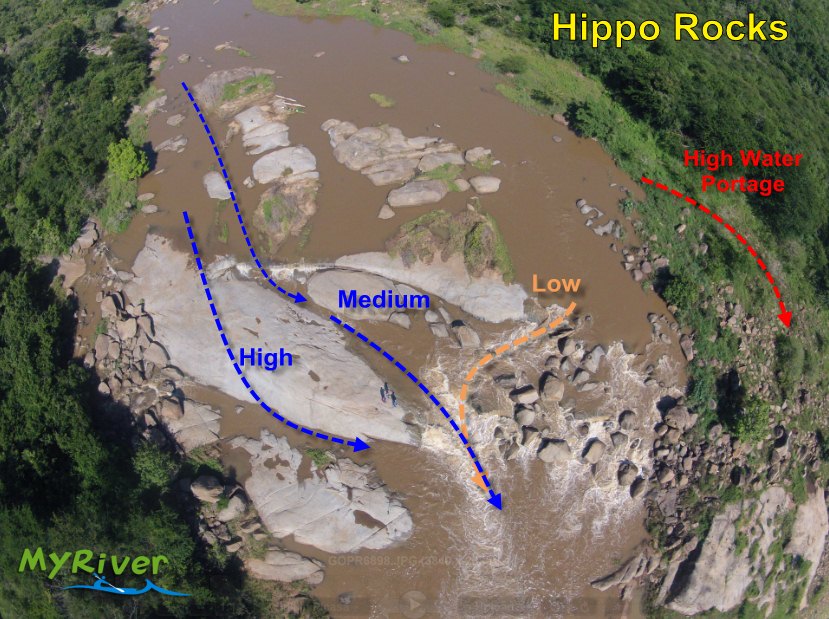 hippo ML_aerial